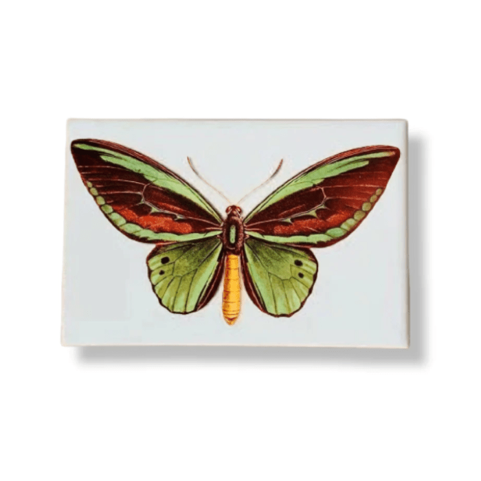 Azulejo Mariposa - Greghi Design
