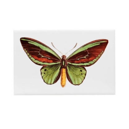 Azulejo Mariposa - Greghi Design