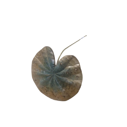 Hoja Decorativa
